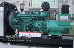 德宏靜音柴油發(fā)電機 昆明東本機電設備公司圖片